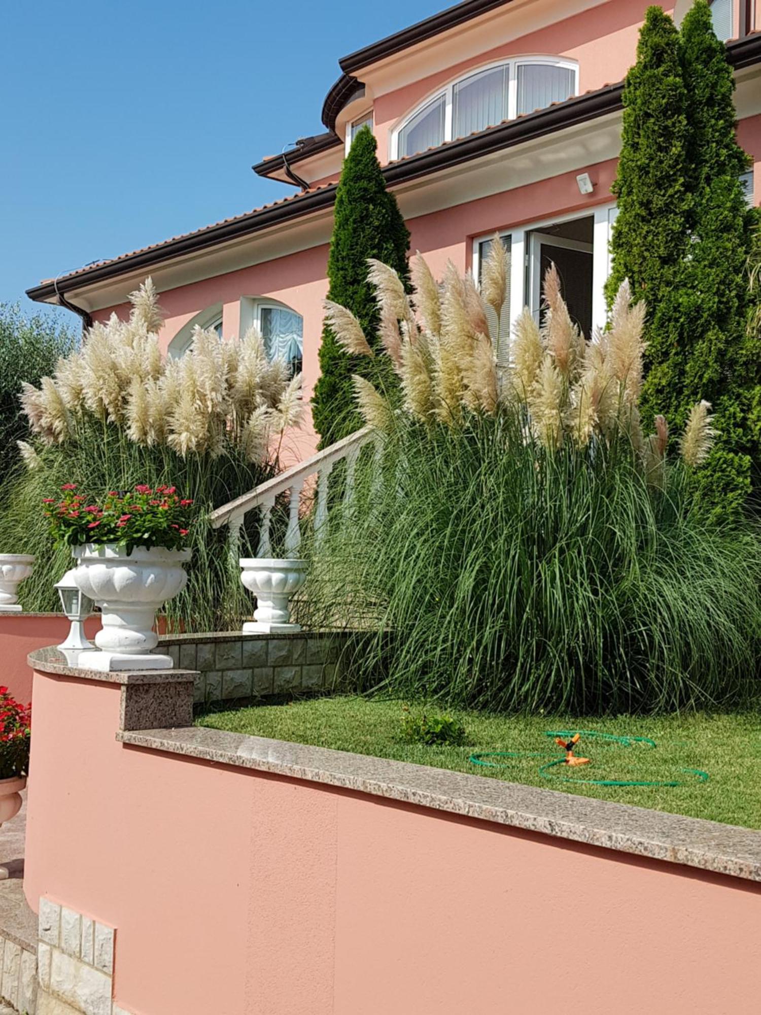 Apartments And Rooms Villa Chiara Krnica Eksteriør bilde